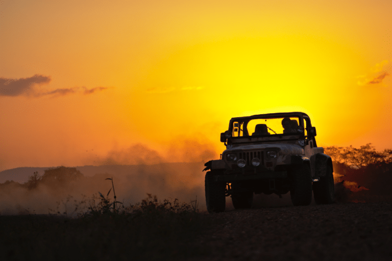 Unveiling the Ultimate Jeep Buyback Program Expert